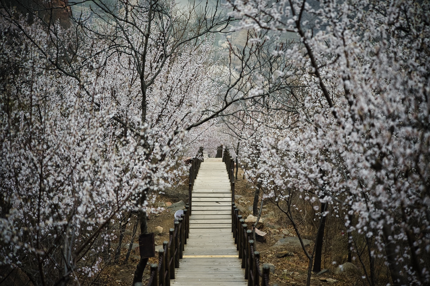 北京白虎涧照片 photo by Frish